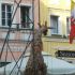 Roberta Barlati - Boleslawiec 2018 - Carnevale Della Ceramica
