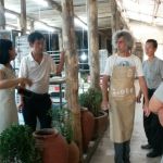 FUPING RINO ATTANASIO 2